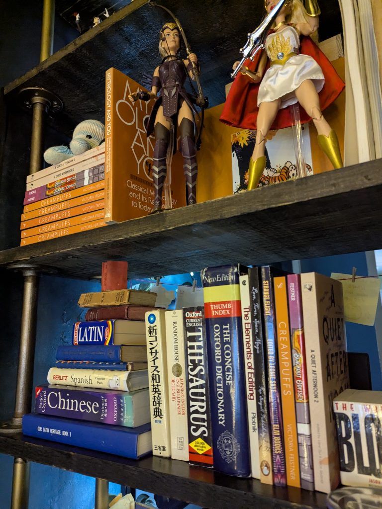 A close up of my bookcase / room divider